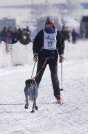 Lenk 2013